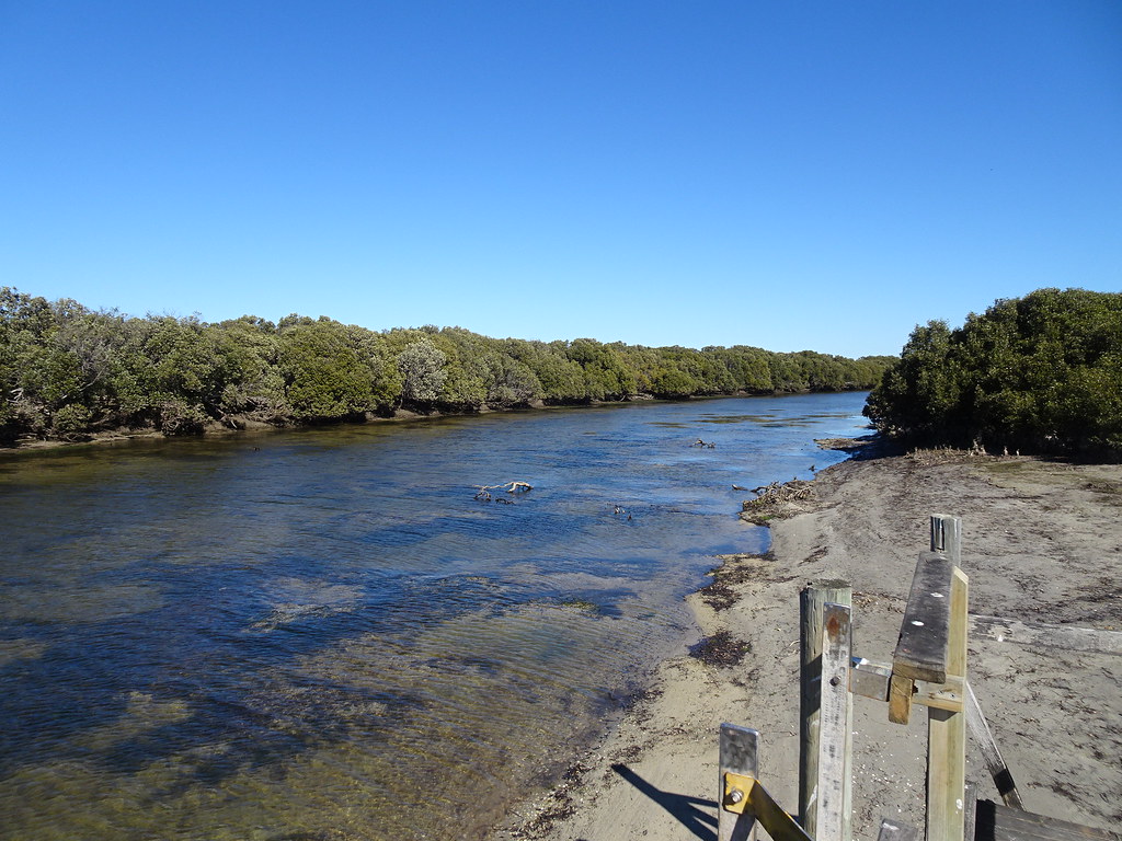 Mangrove Waterway