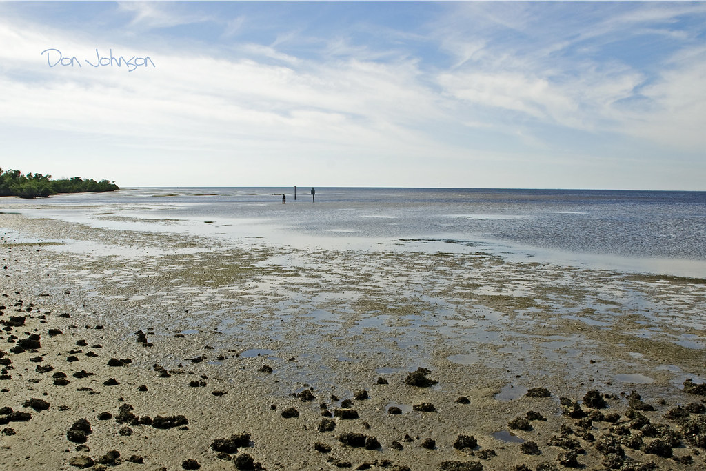 Low Tide in Punta Gorda